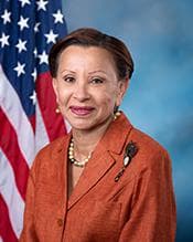 Official portrait of Nydia Velázquez