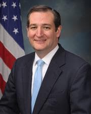 Official portrait of Ted Cruz